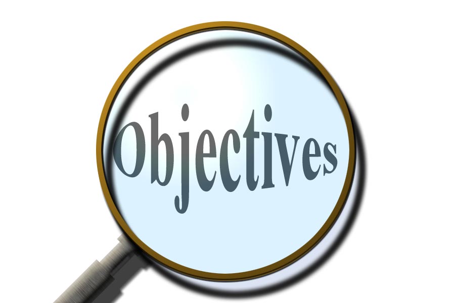 Chapter objectives