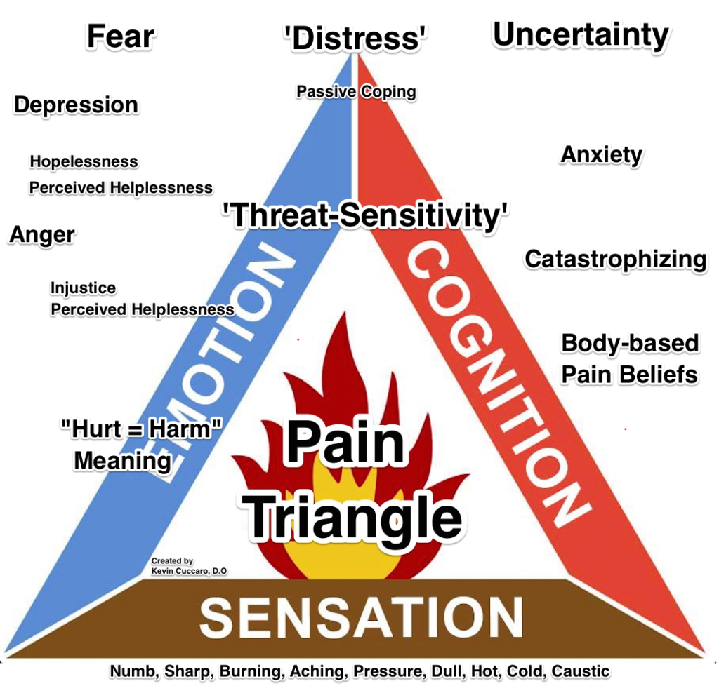 Pain triangle