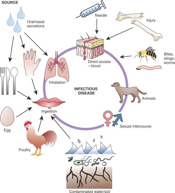 Disease process