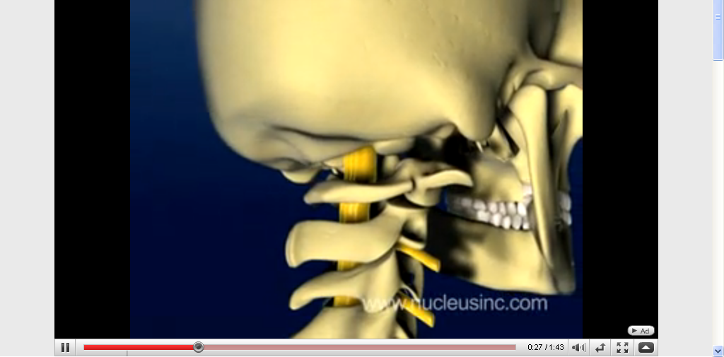 Cervical_rotation.png