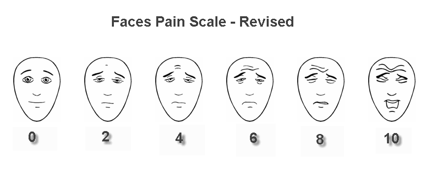 Neuromuscular Examination Elements