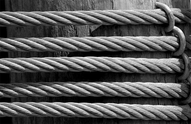 rope photo by barbara k