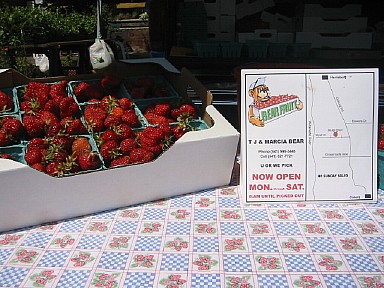 0250strawberries