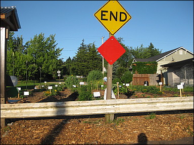 909commongrdgarden12stopsign