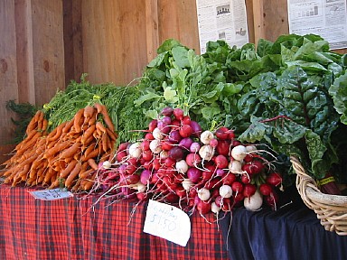 0053youthfarmcarrotsradishes