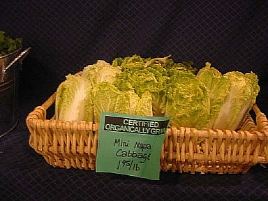 0651holidaynapacabbage2