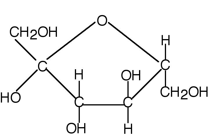 Фруктоза белки. Молекула фруктозы формула. Линейная структура фруктозы. Фруктоза строение линейное. Фруктоза формула химическая.
