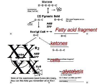 75metabolism