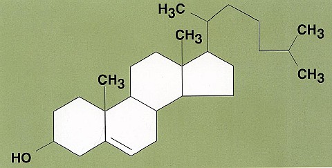 20structurecholesterol